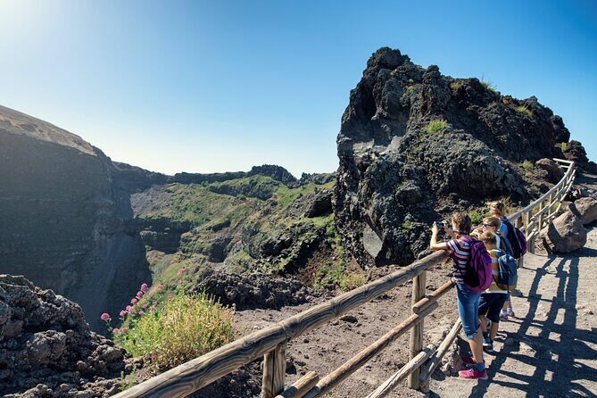Pompeii and Vesuvius Wine Tasting Private Tour - What You Get for the Price: $365.26 per person and where it goes