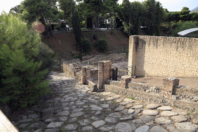 Pompeii Day Tour - What you’ll see at Pompeii: Forum, baths, temples, and the Lupanar