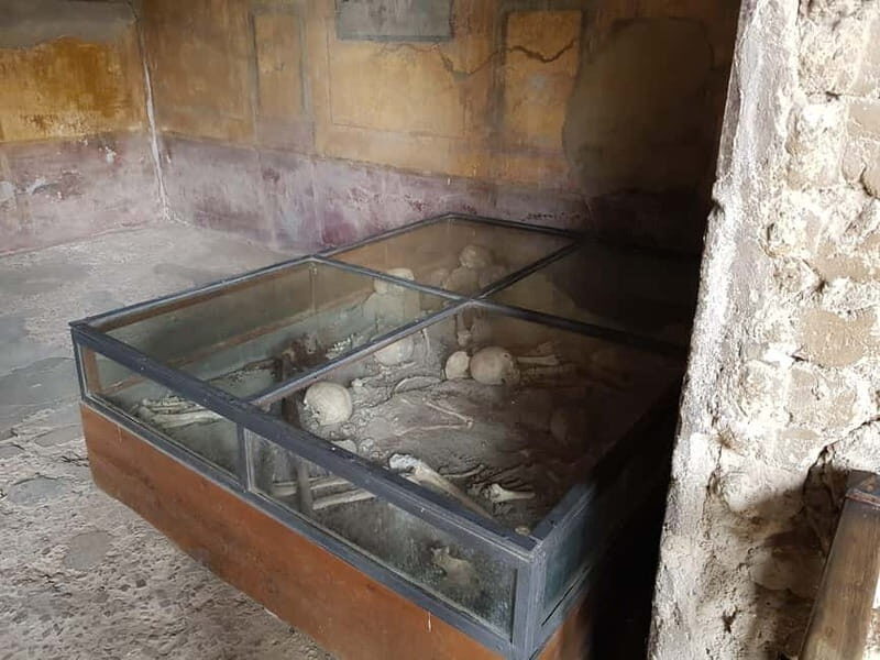 Pompeii: Entry Ticket w/ Guide and Transfers or Audio Guide - Choose your style: guided tour vs audio guide at the ruins