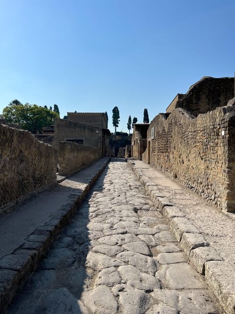 Pompeii Guided Experience - Tour Service Only - Meeting at Hortus Restaurant: Find the Green Sign