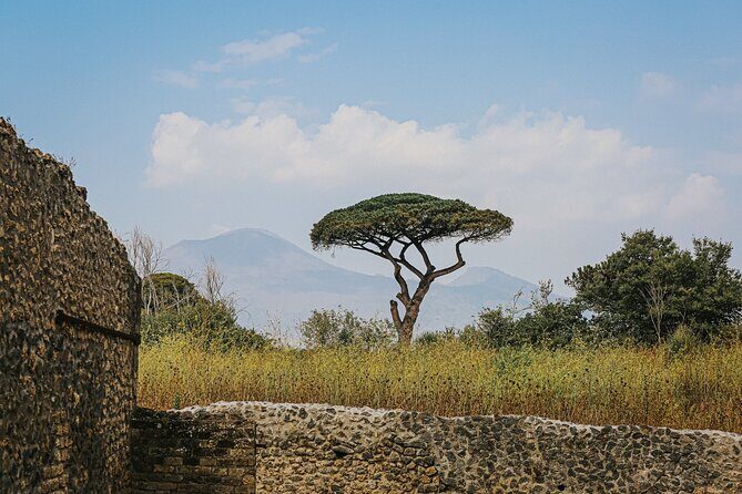 Pompeii guided group tour from Rome - Pompeii without the Napoli overnight: what this day plan really gives you