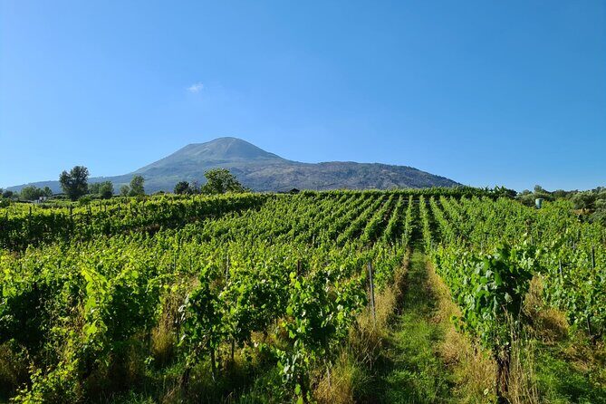 Pompeii Guided Tour & Lunch with Superior Wine Tasting - What to Pack for Pompeii Heat and Cobbled Reality
