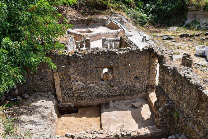 Pompeii Guided Tour & Lunch with Superior Wine Tasting - Pompeii Ruins Tour: From Main Highlights to Real City Life