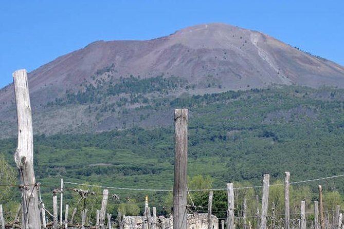 Pompeii, Herculaneum and Vesuvius Private Guided Tour - Parco Acheologico di Ercolano: Herculaneum’s pyroclastic story in a 2-hour block