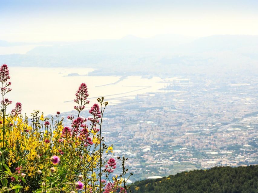 Pompeii, Herculaneum and Vesuvius Tour - Mount Vesuvius and the crater: what 1.5 hours feels like