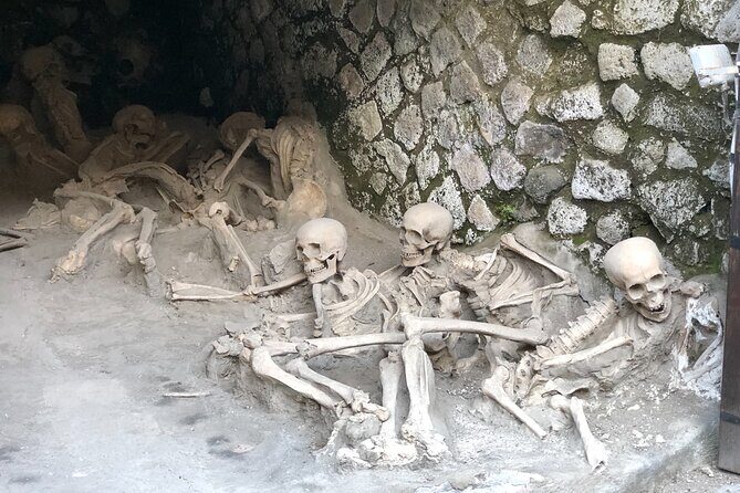 Pompeii & Herculaneum Family Adventure | Guide+Transport+Tickets - Skip-the-line, transport, and private guiding that saves your day