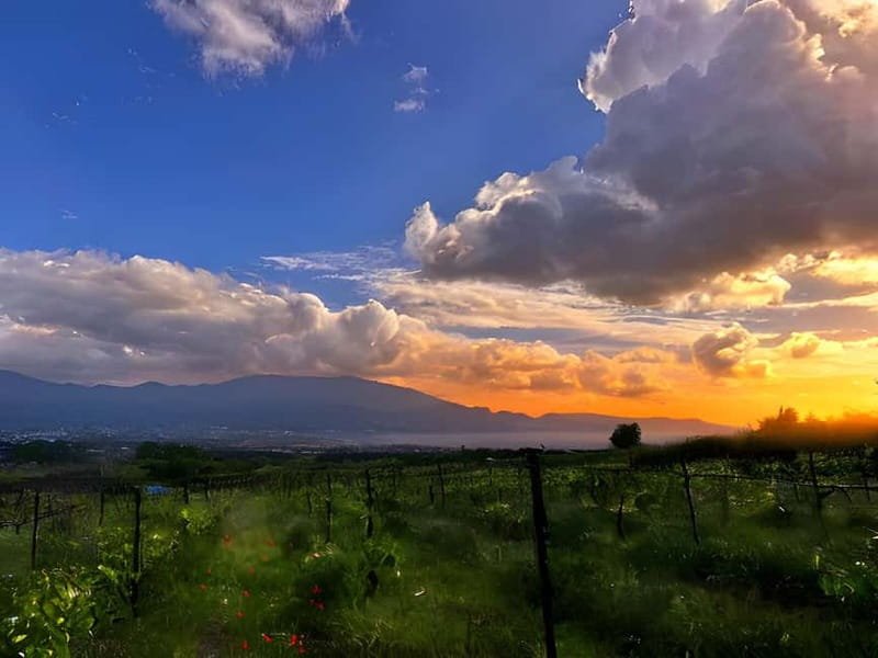 Pompeii: Mount Vesuvius Night Horseback Ride and Italian BBQ - Night Ride on Mount Vesuvius: What Makes This One Different