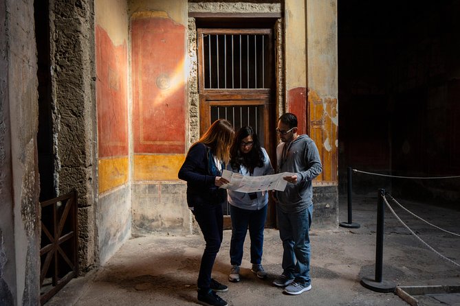 Pompeii & Mt.Vesuvius Day Tour from Naples with Pizza Lunch - Guided Pompeii: Forum, Baths, Vetti’s House, and the Lupanare