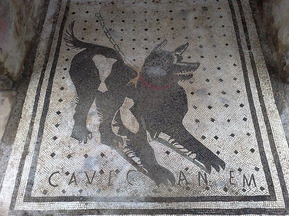Pompeii Positano and Sorrento shared excursion with Pompeii skip the line entry - Price and value: what $155 is really buying you