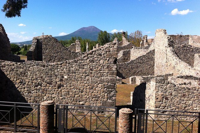 Pompeii Private Half-Day Tour from: Naples,Sorrento, Amalfi Coast - Price reality check: what $309.08 per person buys you