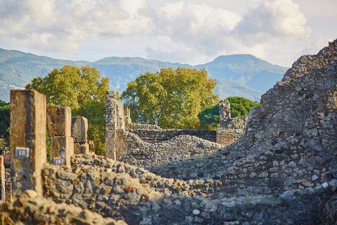 Pompeii Private & Personalized Tour with archeology expert guide - The archaeology expert guide: what makes this tour different