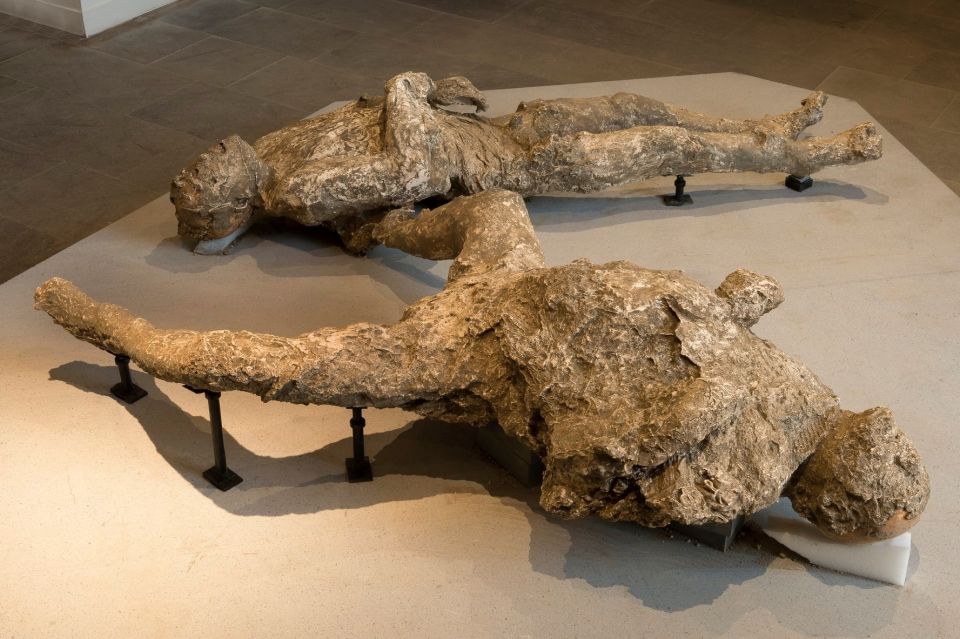 Pompeii: Private Tour with Hotel Pickup and Entry Ticket - Private Driver Logic: Comfort, Control, and Less Time Thinking