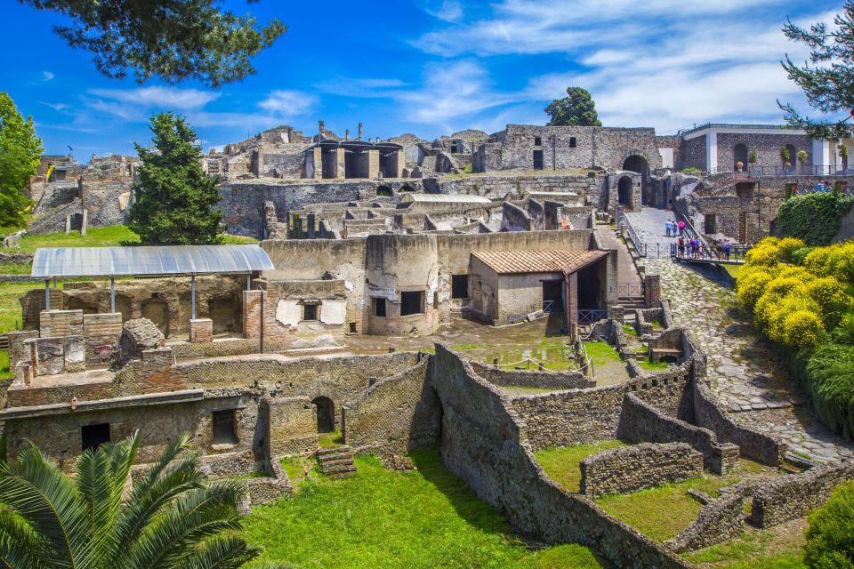 Pompeii: Private Tour with Hotel Pickup and Entry Ticket - Price and Value: Is $334.19 Per Person a Good Deal?