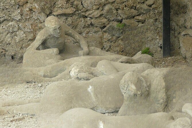 Pompeii private tour - Door-to-door pickup plus onboard Wi‑Fi: the practical perks