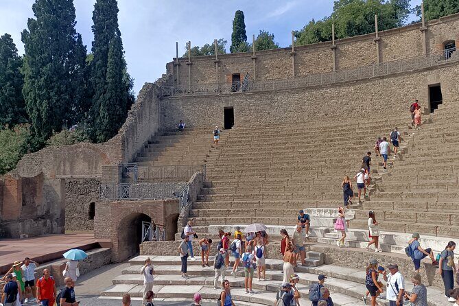 Pompeii ruins and Archaeological Museum private tour from Rome - Naples Transfer and Lunch Reset Before the MANN