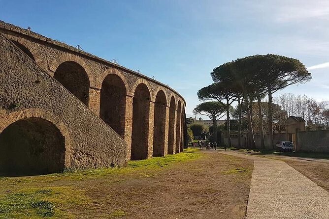 Pompeii Ruins: Day Trip from Naples with skip the line ticket - Should you book this Naples-to-Pompeii skip-the-line shuttle?