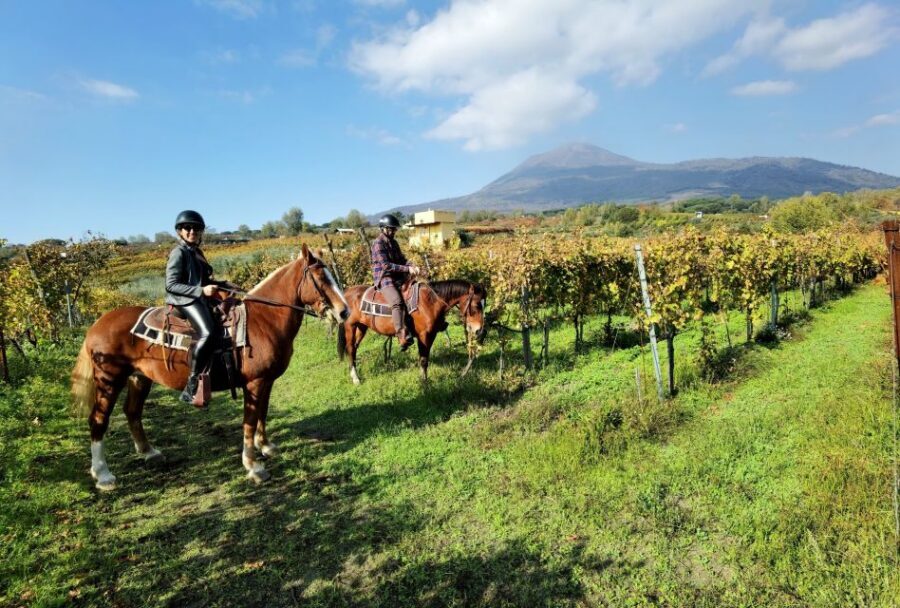 Pompeii: Ruins Tour and Mount Vesuvius Horseback Ride - Key things I’d bet on before you book