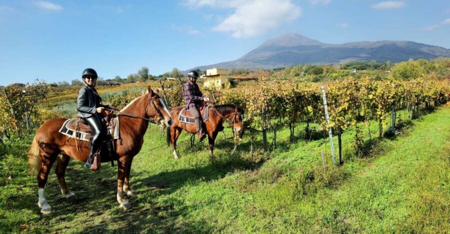 Pompeii: Ruins Tour and Mount Vesuvius Horseback Ride - Finding the group: Hortus Pompei and start-time reality