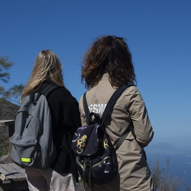 Pompeii Ruins & Vesuvius Full-Day Tour from Pompeii - Pompeii’s 2-hour guided walk: what you actually get from the guide