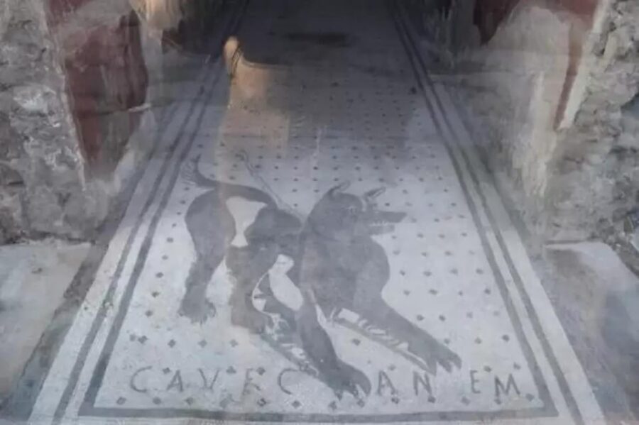 Pompeii: Skip the Line Ticket + Audioguide - Who this Pompeii self-guided ticket suits best