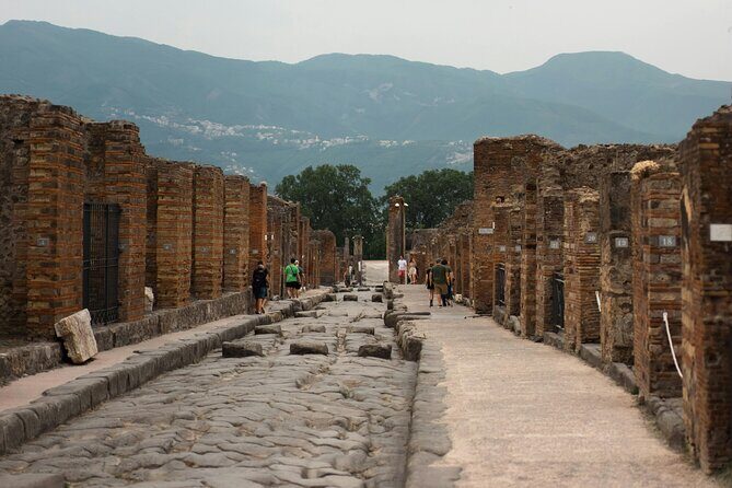 Pompeii Skip-the-Line Tour – Private and limited group options - Entering the Site: Skip the Line, Not the Security