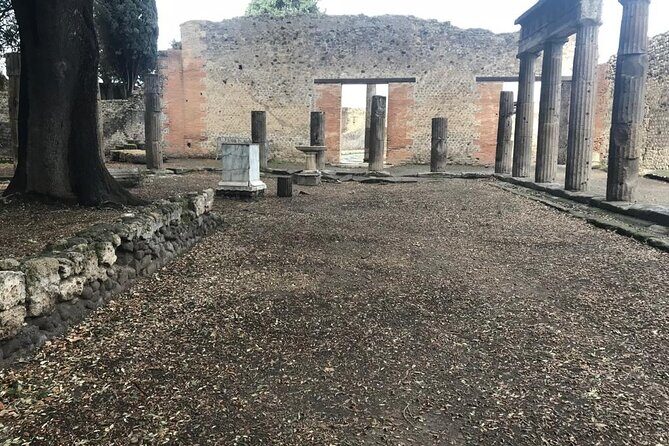 Pompeii Small Group Guided Tour with Skip-the-line Admission - Famous Pompeii houses: the wealthy side of the street