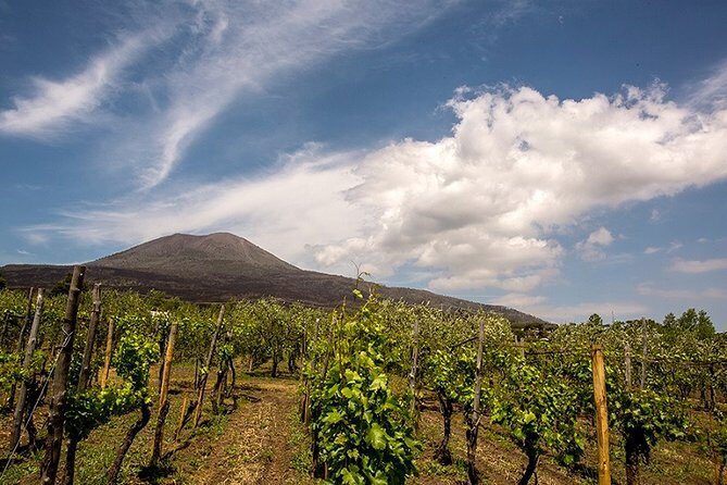 Pompeii Small Group Tour & Food/Wine tasting at Mt. Vesuvius - Getting there in summer and handling rain without losing the day