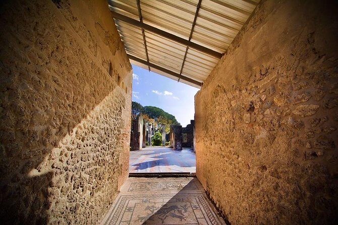Pompeii Small Group Tour & Food/Wine tasting at Mt. Vesuvius - What you see in Pompeii: Basilica, Forum, temples, and everyday streets