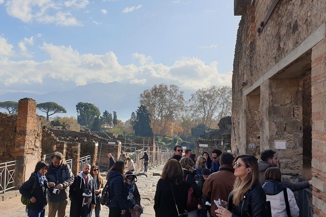 Pompeii tour with entrance ticket! - What the 2-hour Pompeii guided walk usually feels like