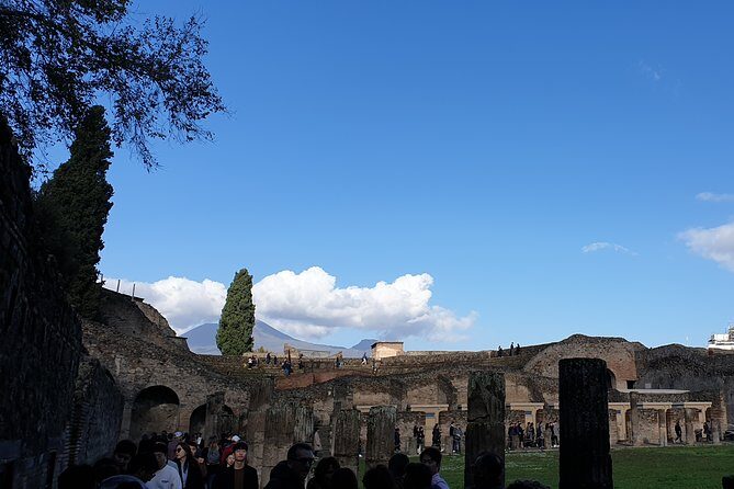 Pompeii tour with entrance ticket! - Who this Pompeii tour suits best