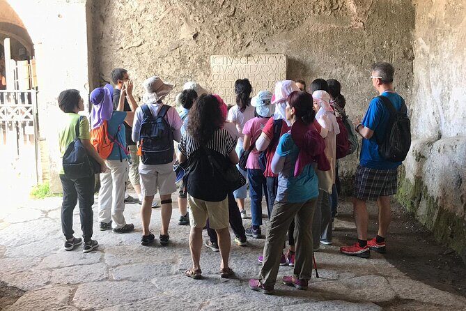 Pompeii Tour with experienced guide - Houses, Gardens, and Everyday Detail on the Main Street