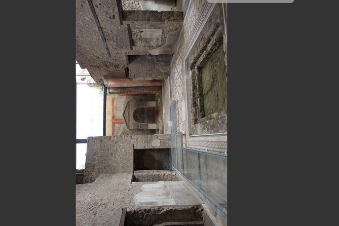 Pompeii, Vesuvius & Wine Tasting Private day Tour - Car Comfort and English-Speaking Local Drivers (Dodi and Fabio)