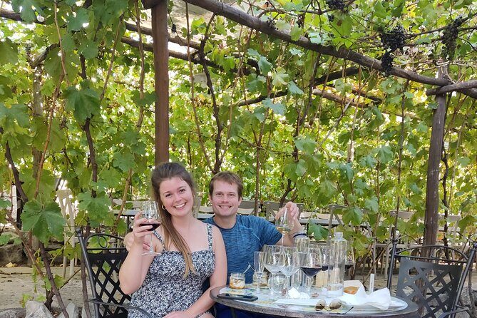 Pompeii, Vesuvius & Wine Tasting Private day Tour - Who This Tour Suits Best