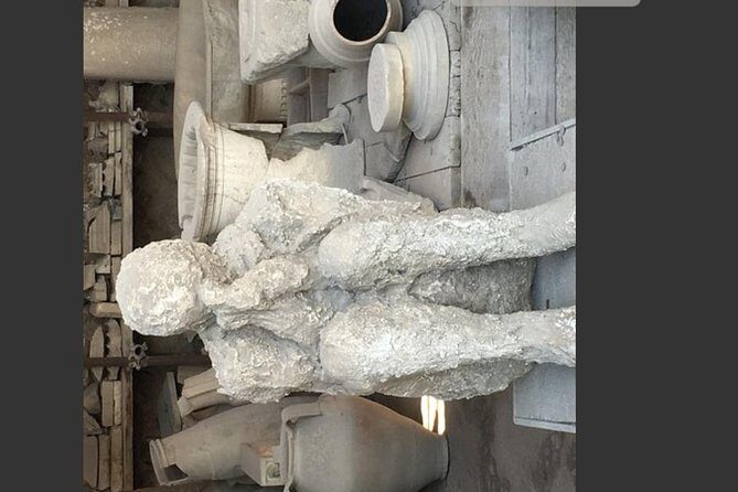 Pompeii, Vesuvius & Wine Tasting Private day Tour - Should You Book This Pompeii, Vesuvius & Wine Tasting Private Day?