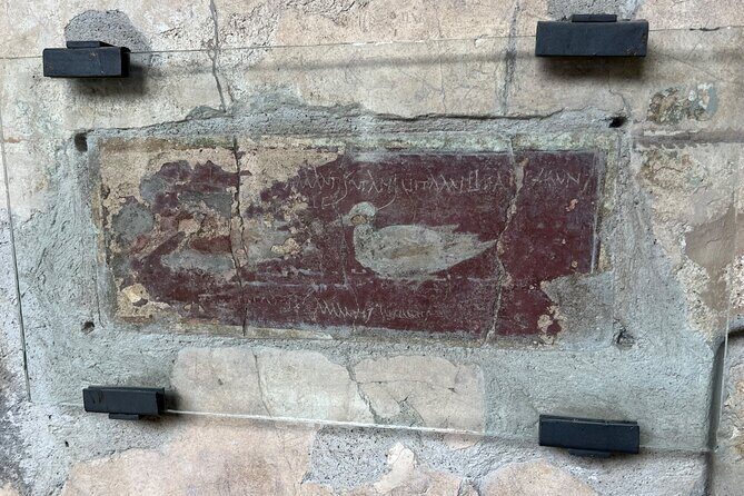Pompeii walking tour (2hrs) - Price and value: what $60.08 buys you