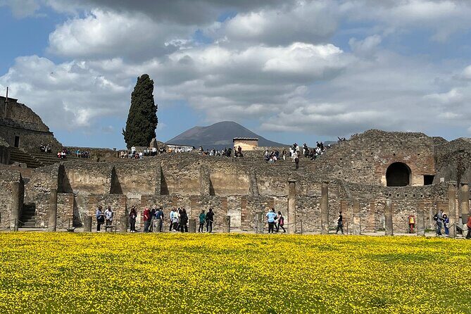Pompeii walking tour (2hrs) - What you actually see in the 2-hour walking loop