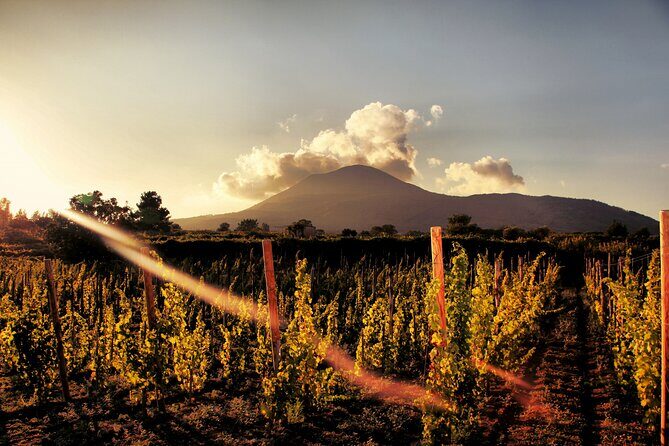 Pompeii with Wine Tasting and Lunch from Naples - The Pompeii part: guided walking with a reality check on crowds