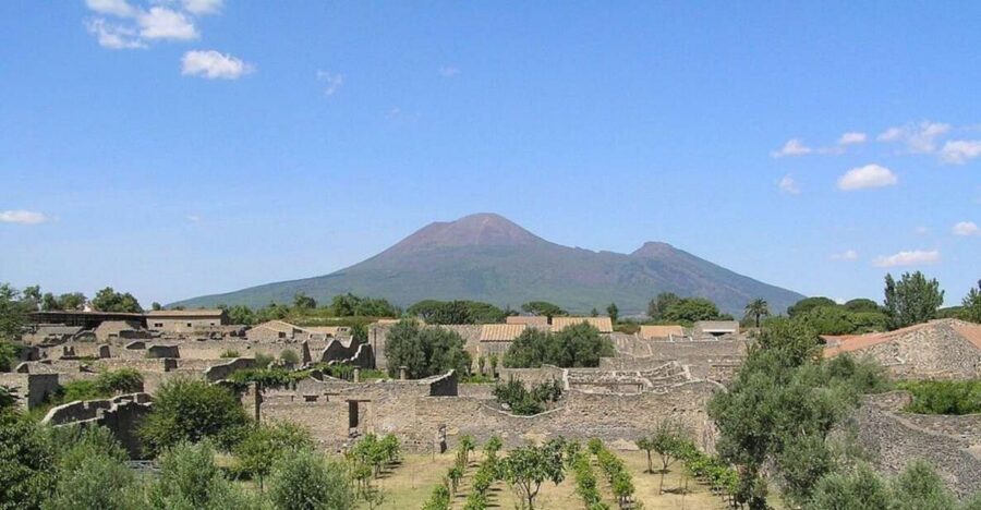 Pompeii with Wine Tasting Private Tour - Pompeii With a Guide: Focused Time, Better Results