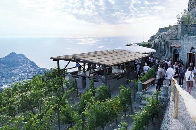 Premium Ischia Wine Tasting Experience with Transfer Included - Pickup and the easy start: you trade hassle for good time