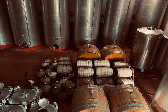 Premium Ischia Wine Tasting Experience with Transfer Included - The salumi and cheese pairing: why food makes the wine make sense