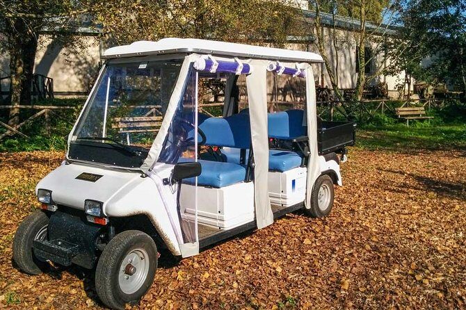 Private Appian Way (Appia Antica) Tour in Rome by Golf Cart - Price and value: what $417 for up to 5 really means