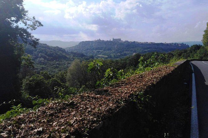 PRIVATE Civita di Bagnoregio and Orvieto Wine Tasting -Ebike tour - Tiber Valley Cycling and the Oasis of Alviano Nature Reserve