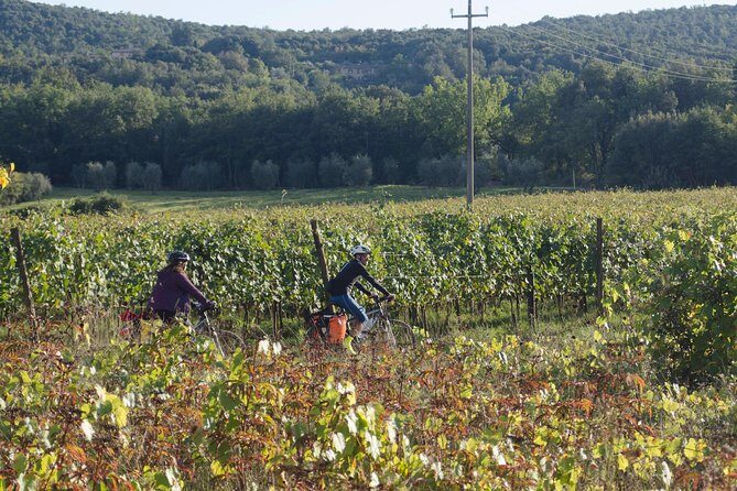 PRIVATE Civita di Bagnoregio and Orvieto Wine Tasting -Ebike tour - Wine-Cellar Dinner: What You’ll Actually Be Eating