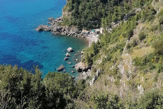 Private day tour: Pompeii, Sorrento and Positano. - The morning start: why you’ll feel it by stop two