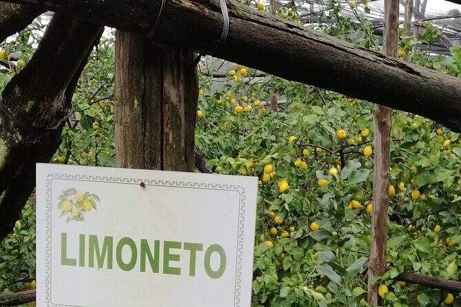 Private day tour: Pompeii, Sorrento and Positano. - Positano and the return: where your day ends matters