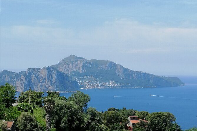Private day tour: Pompei,Vesuvius and Herculaneum. - Time management, tickets, and lunch: the practical stuff that shapes your day