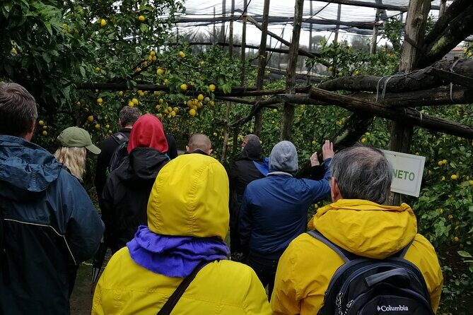 Private day tour: Sorrento, Positano, Amalfi and Ravello. - Getting started: pickup timing and how to plan your morning