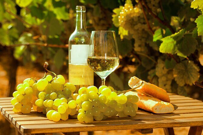 Private Double Wine Tasting Tour in Frascati - Exclusive - Key Highlights You’ll Feel Right Away