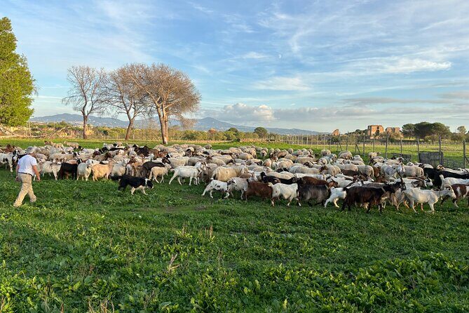 Private E-bike tour of Appian way, Aqueduct & catacombs with food - Villa dei Quintili and Santa Maria Nova: Mosaics and Sweeping Views