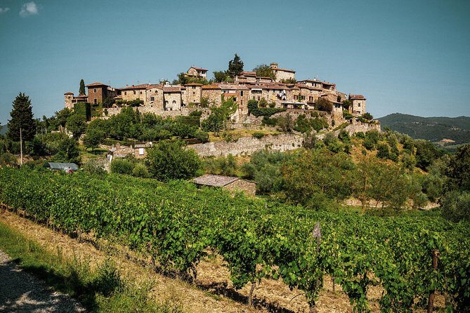 Private Experience Tuscany Tour from Rome - Getting started around 8:00am and how the day flows